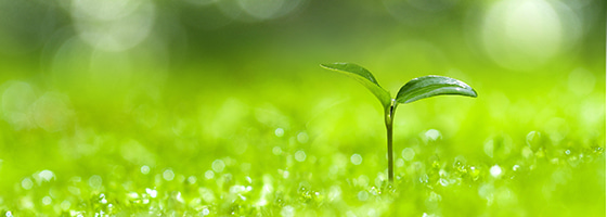 Environment